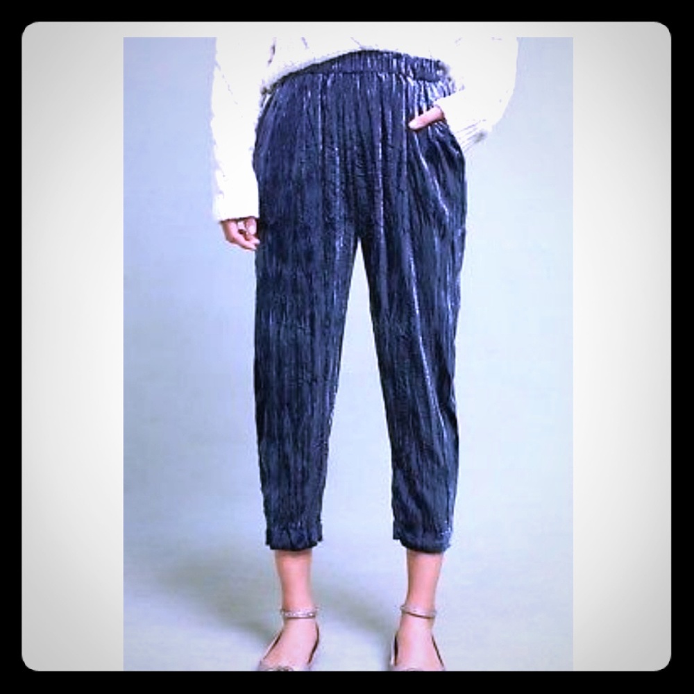 Anthropologie NWT Crushed Velvet Pant Size M/p